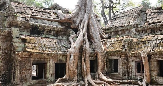 An overgrown jungle temple of Ta Prohm, famously used as a filming location for Angelina Jolie’s Tomb Raider.